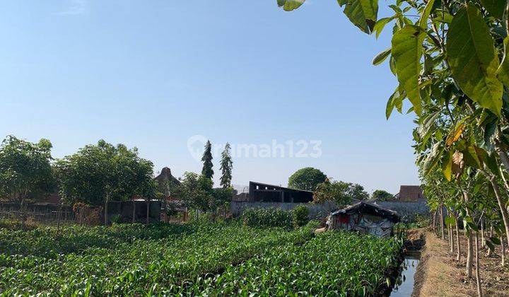 Dijual Murahh Tanah SHM Luas 5.000m di Pandanrejo , Kota Batu  2