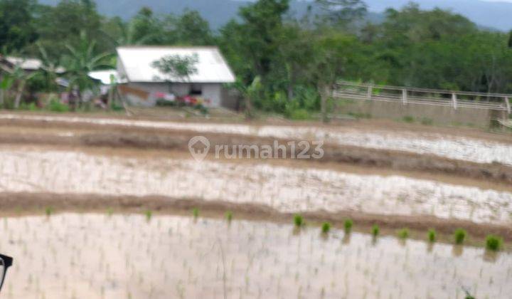 Jual Kavling Jonggol, Kab Cianjur. Jalan Alternatif Puncak Bandung Tanah di Jalan Alternatif Puncak Bandung, Jonggol. Kab Cianjur  2