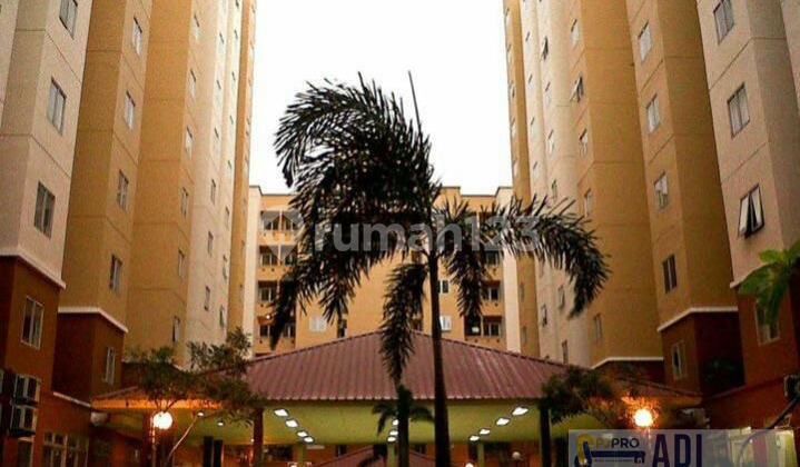 Dijual Apartemen Palm Mansion Tower Lavender 4