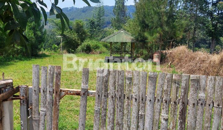 Cibodas Maribaya Lembang Land Cibodas Maribaya Lembang Land