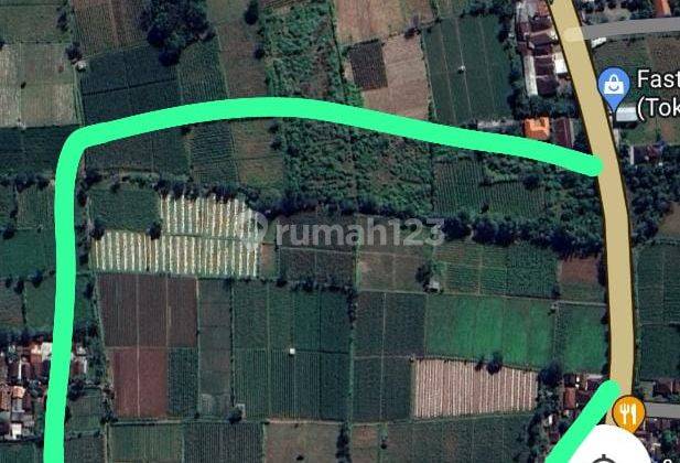 Tanah 2ha di Jl. Raya Banyuwangi Situbondo 9