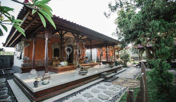 Rumah Villa Bali Modern Bagus di Tabanan Bali 2