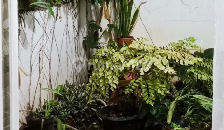 Rumah Bagus Di Kencana Loka Bsd 2