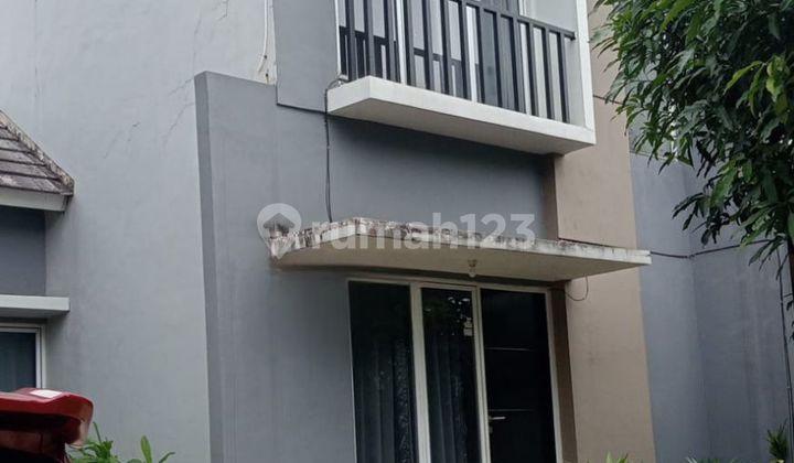 Rumah Bagus Siap Huni Di Serpong Lagoon Rumah Bagus Siap Huni Di Serpong Lagoon