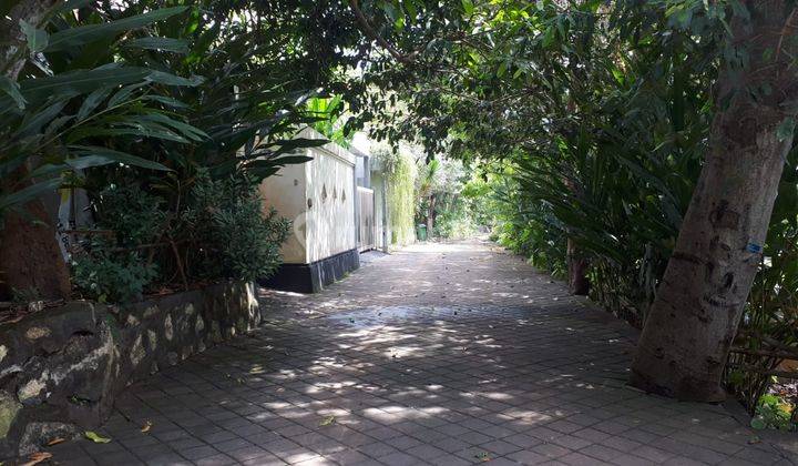 Tanah Siap Bangun Untuk Villa di Balangan 2
