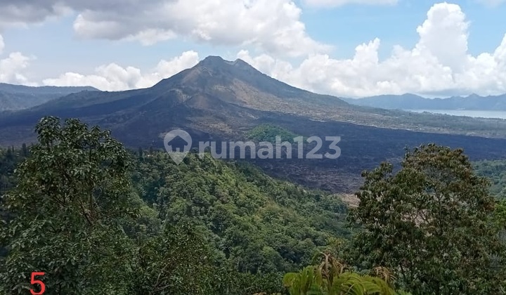Tanah di Kintamani View Danau Dan Gunung Batur 1