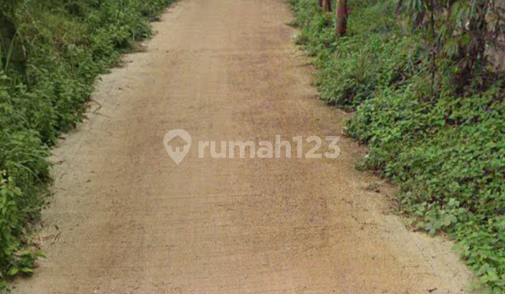 Ready-to-Build Land in Ciangsana