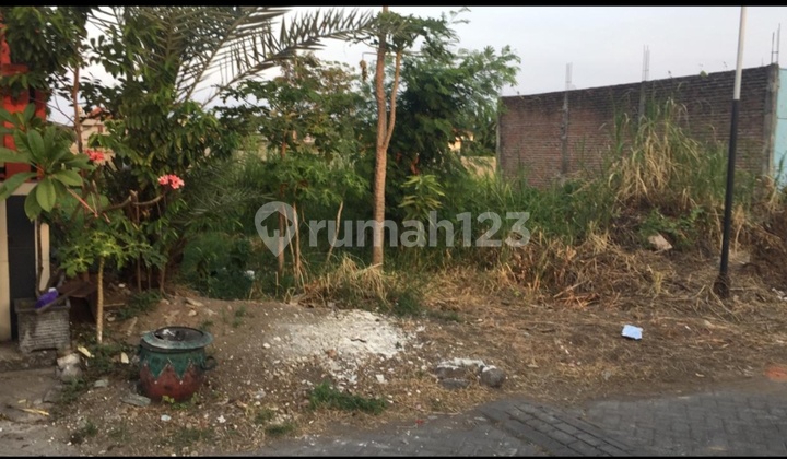 Kavling Di Kemiri Sidoarjo Butuh Cepat 2