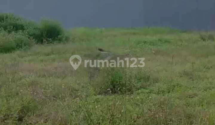 Land in Setu Bekasi is cheap