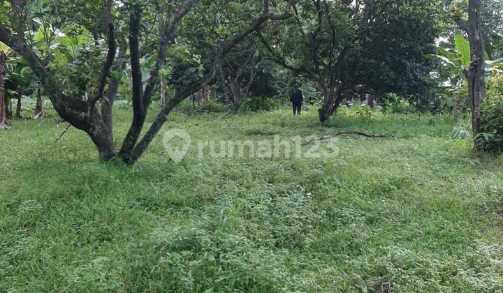 Plot in Cimanggis Tapos Depok 2656 Meters Plot in Cimanggis Tapos Depok 2656 Meters