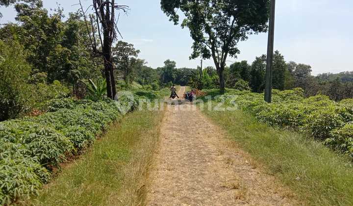 Tanah Di Parung Hijau Bogor Tanah Di Parung Hijau Bogor