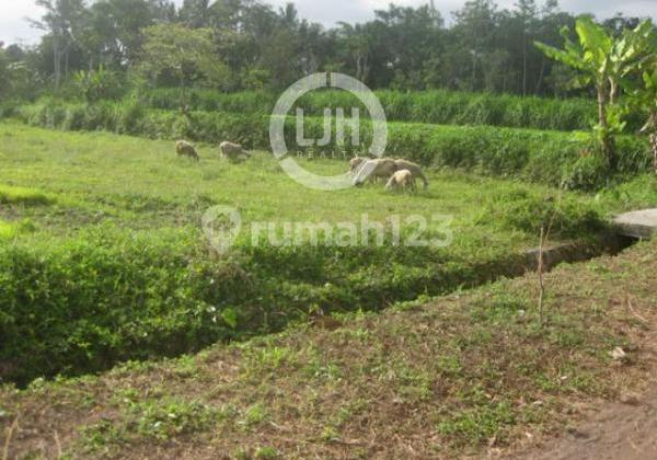 TANAH SHM SIAP BANGUN DI JL KALIURANG KM 17 YOGYAKARTA