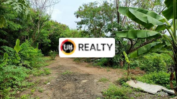 Kavling di Rorotan Cilincing Jakarta Utara Luas 6065 m2 Kavling di Rorotan Cilincing Jakarta Utara Luas 6065 m2