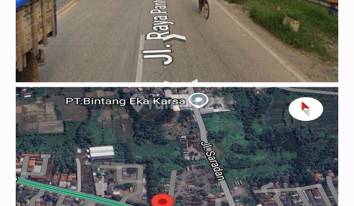 Tanah di Jln Raya Pantura Jayanti, Bengkulu Utara SHM 3,2 ha 2