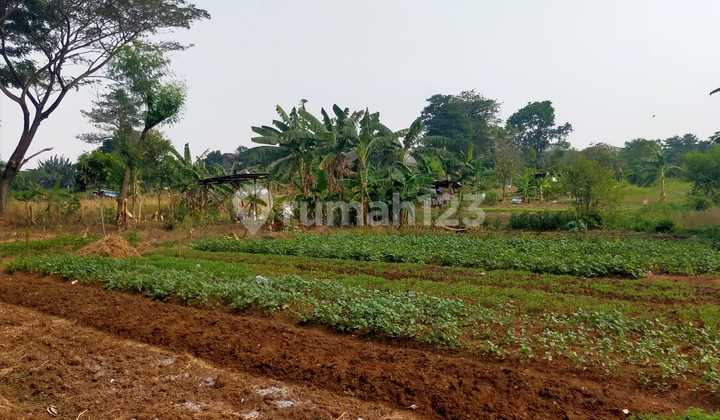 Dijual Lahan 1.5ha Jalan Prof.moh.yamin Duren Jaya Bekasi Timur 2