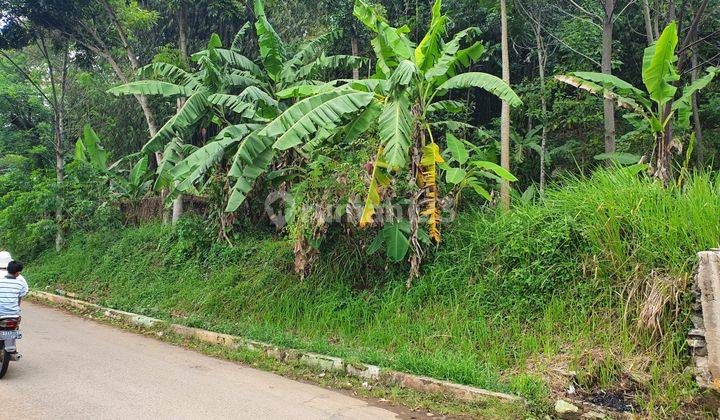 Tanah siap bangun di Cibodas Kutawaringin dekat Stadion Jalak Harupat  2