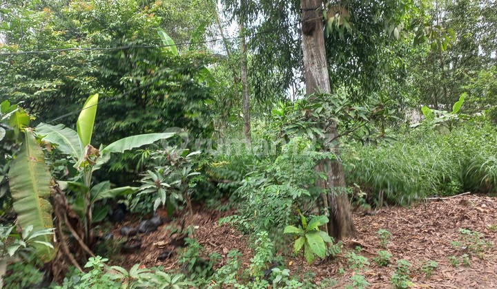 Jual Cepat Tanah 2035 m2 Di Pinggir Jalan Dekat Kawasan Industri Cileles Tigaraksa Jual Cepat Tanah 2035 m2 Di Pinggir Jalan Dekat Kawasan Industri Cileles Tigaraksa