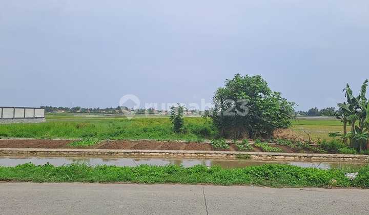 Quick Sale Land 2950 M2 in Jati Tanjakan Rajeg Tangerang