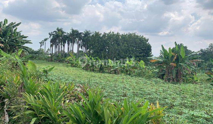 Cepat Tanah 16 HA Luas di Sebelah Raffles Hills Cibubur 1