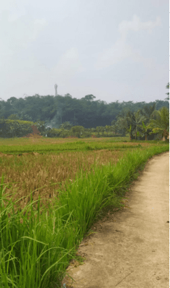 Jual Tanah 20 Ha Di Desa Cikareo, Solear, Tangerang 1