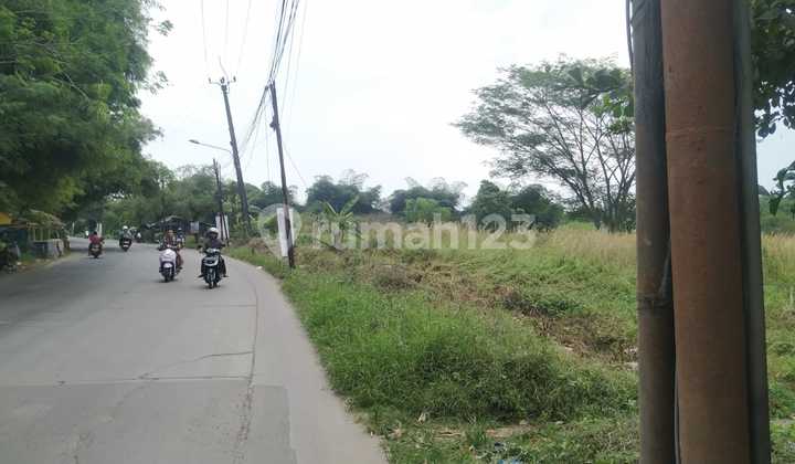 JUAL TANAH 2 HA Di Jl Raya Syech Mubarok Tigaraksa Tangerang 1