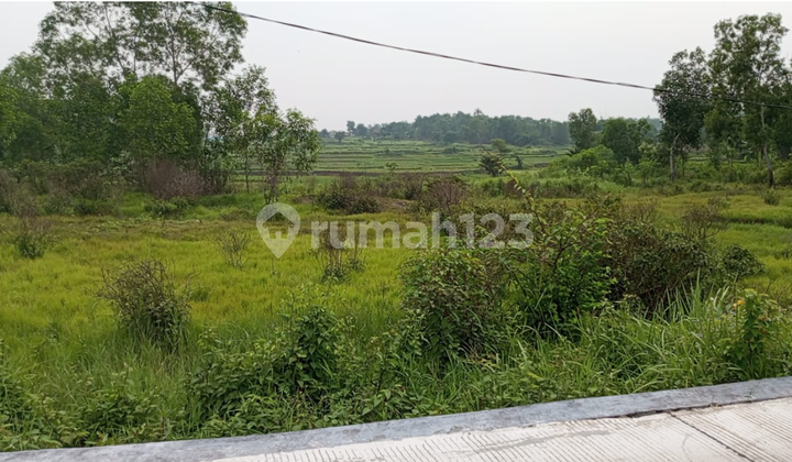 Jual Tanah Zona Perumahan 250 Ha di Tangerang Banten Perbatasan Bogor 1