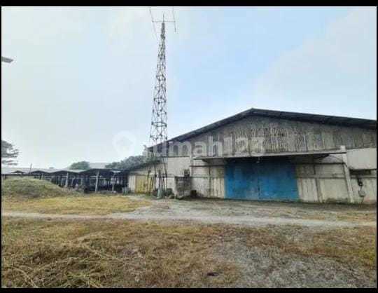 Jual Cepat & Murah Ex Pabrik LT 2 Ha LB 1500 m2 Di Jawilan Serang