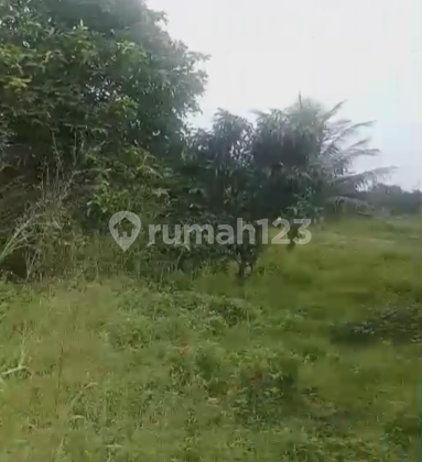 Jual Cepat Tanah 16 Ha Zona Perumahan Di Desa Tapos Tigaraksa Tangerang 1