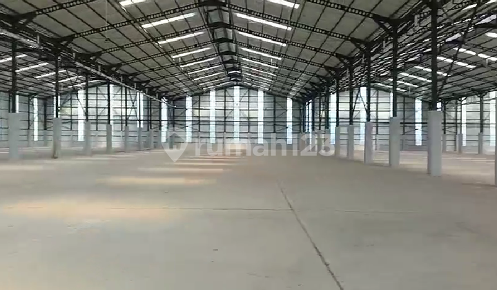 For Rent New 1 Ha Warehouse in Cikande