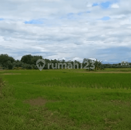 Jual Cepat & Murah Tanah 92 Ha, Zona Perumahan Di Solear Tangerang 2