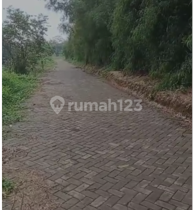 Jual Cepat & Murah Tanah 1,4 Ha Buat Rumah Duka di Cisauk Jual Cepat & Murah Tanah 1,4 Ha Buat Rumah Duka di Cisauk