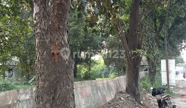 Jual Cepat Tanah Zona Industri 3,2 Ha Di Gunung Sindur Kab Bogor