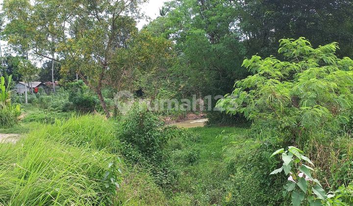 Jual Cepat Tanah Premium & Super Strategis 350 Ha Di Cikuya Kab Tangerang 1