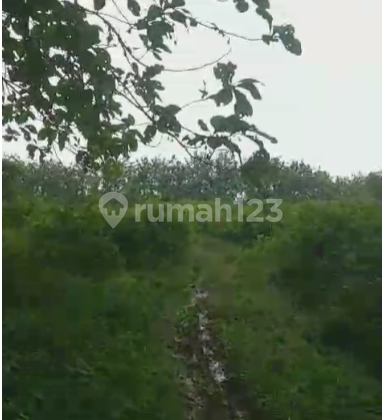 Quick Sale 14.7 Ha Industrial Zone Land in Legok, Tangerang