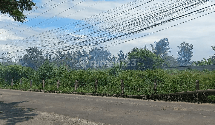 Jual Cepat & Murah Tanah 92 Ha, Zona Perumahan Di Solear Tangerang 1
