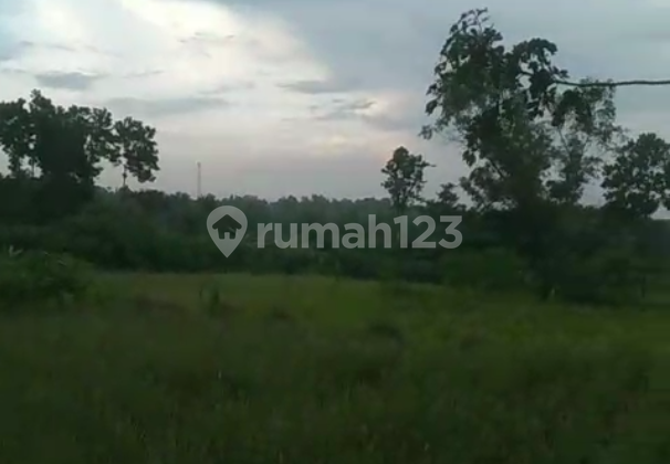 Jual Tanah Zona Perumahan Luas 7,3 Ha di Cilejet Batok Taban, Kec Jambe Tangerang