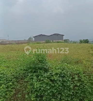 Jual Cepat Tanah 4000 M2 (ZONA INDUSTRI RINGAN) DI KAWASAN PERGUDANGAN GUNUNG SINDUR Jual Cepat Tanah 4000 M2 (ZONA INDUSTRI RINGAN) DI KAWASAN PERGUDANGAN GUNUNG SINDUR