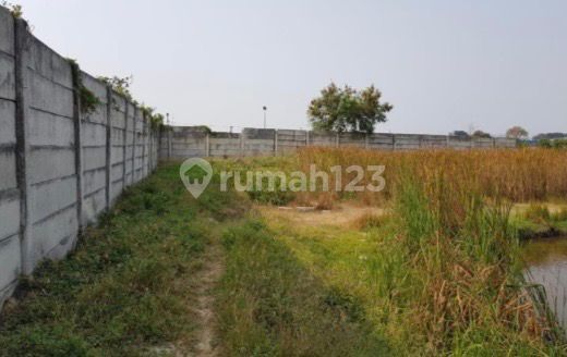 Disewakan Tanah 3,5 Ha Di Pinggir Jalan Marunda Makmur Jakarta Utara