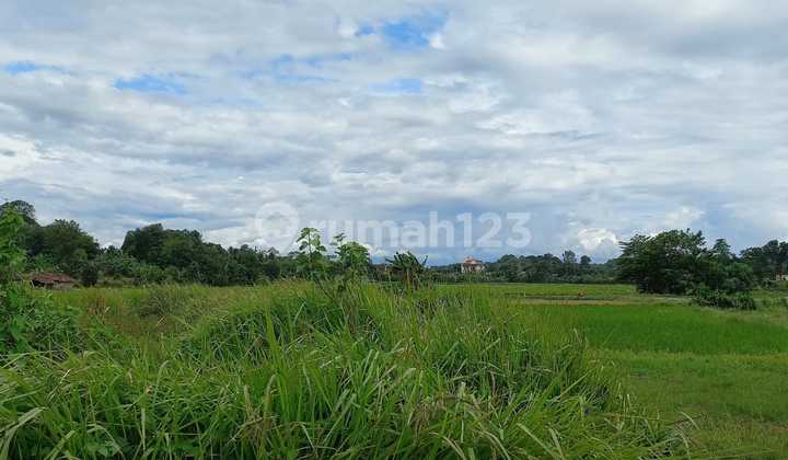 Jual Cepat Tanah Premium & Super Strategis 350 Ha Di Cikuya Kab Tangerang 2