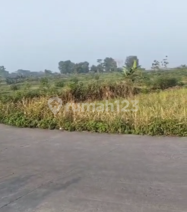 Di Jual Tanah 150 Ha Zona Perumahan Kec.cisoka Kab.tangerang