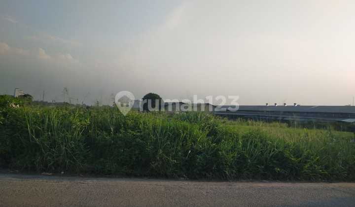 Dijual Murah Kavling 3,4 Ha, Zona Industri, di Balaraja Barat Tangerang Dijual Murah Kavling 3,4 Ha, Zona Industri, di Balaraja Barat Tangerang