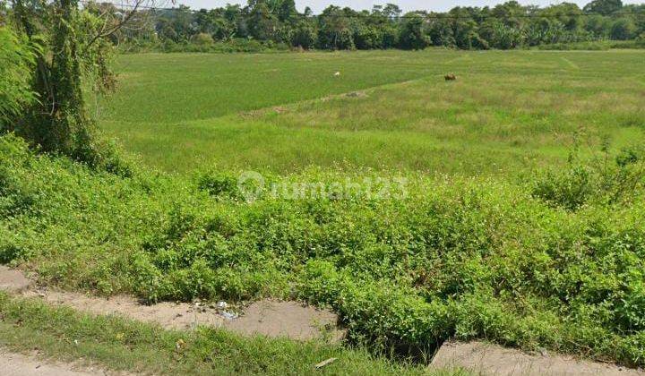 Jual Tanah Zona Industry 30 Ha Di Jl Raya Rancaiyuh Tigaraksa  2