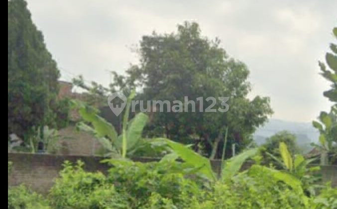 Tanah Mainroad dan Produktif Diarea Padasuka Bandung