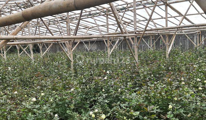 Dijual Tanah Sersan Bajuri Atas Lembang 1
