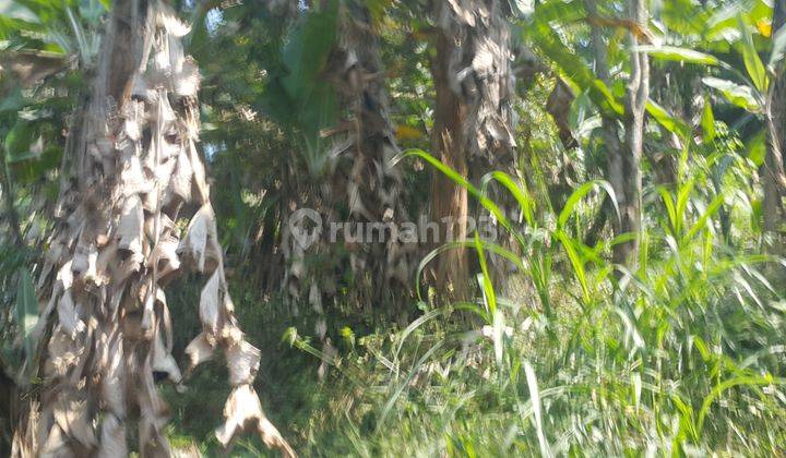 Dijual tanah 1600m2 Sayap Ciumbuleuit 1
