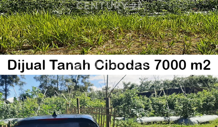 Tanah Perkebunan Produktif Diarea Lembang Tanah Perkebunan Produktif Diarea Lembang