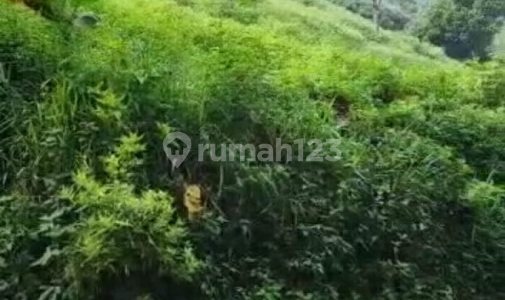 Tanah Murah Luas 14000M2 Area Kab Bandung Barat