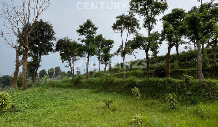 Tanah Produktif Area Bandung Utara Dekat Ke Parongpong