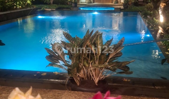 Rumah Cantik Kemang Asri Ada Kolam Renang Garden Swimming Pool