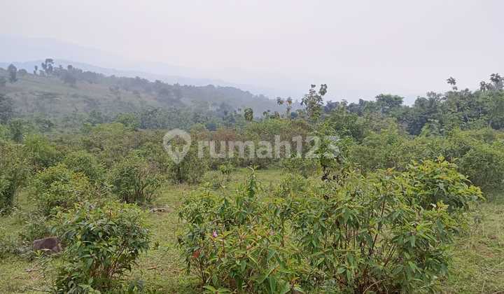 Tanah Cantik Murah Di Jonggol Bagus View Pegunungan Tanah Cantik Murah Di Jonggol Bagus View Pegunungan